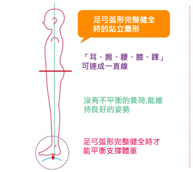 アーチがしっかりある健全な足部の立ち姿