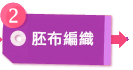 胚布編織