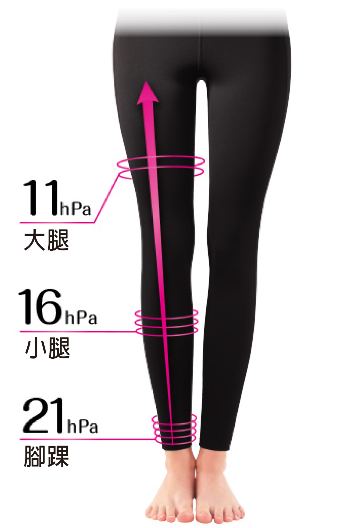 美腿拉提壓力構造