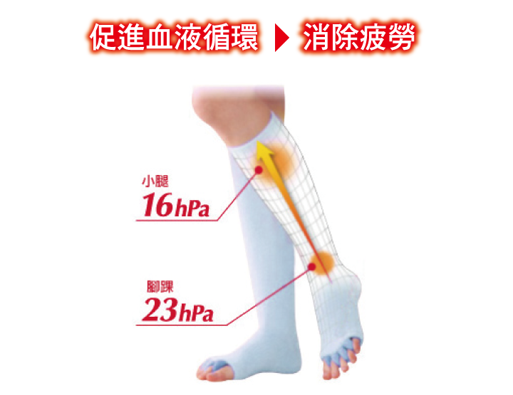 Slimwalk 美腿襪-居家休憩用-舒趾襪